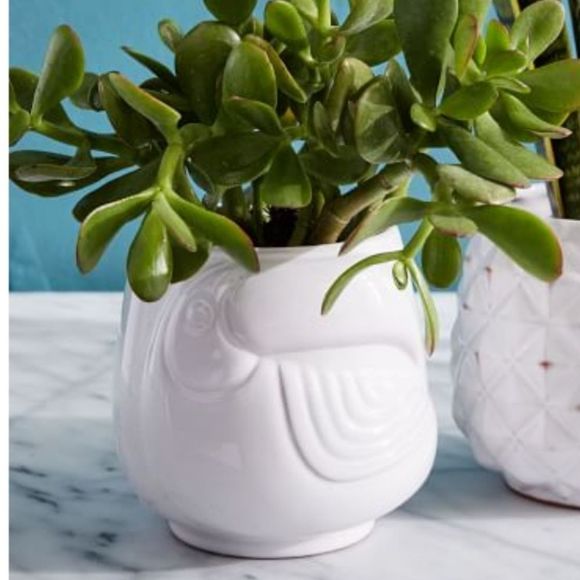 West Elm Accents West Elm White Glazed Terracotta Toucan